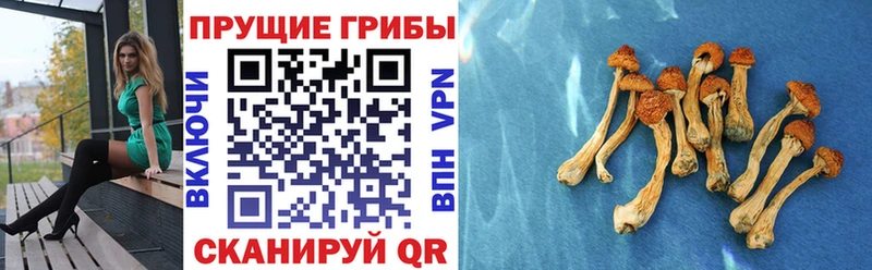 Галлюциногенные грибы мицелий  где можно купить   Щёкино 